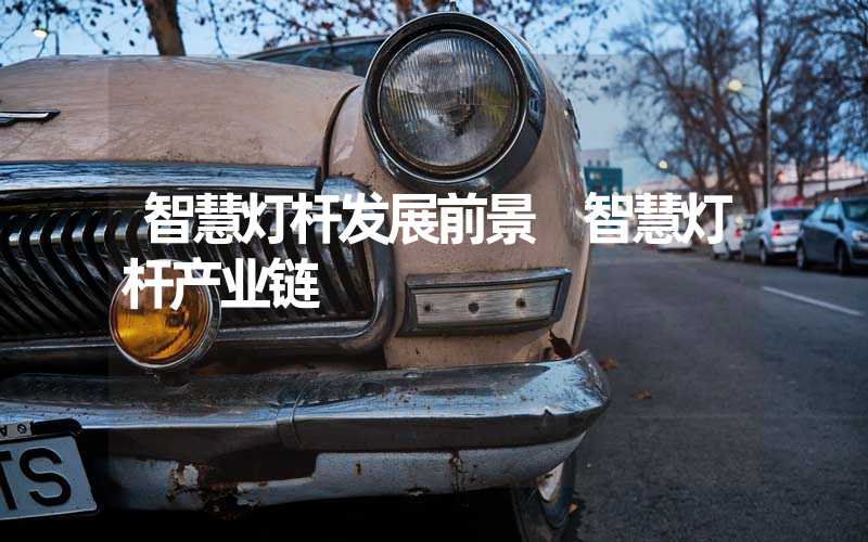 智慧灯杆发展前景 智慧灯杆产业链